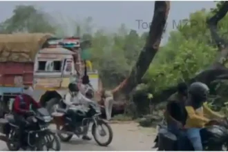 Bhadohi Truck collides with fallen tree driver and helper injured