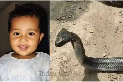 A 10 month old innocent child died due to snake bite in Madihan