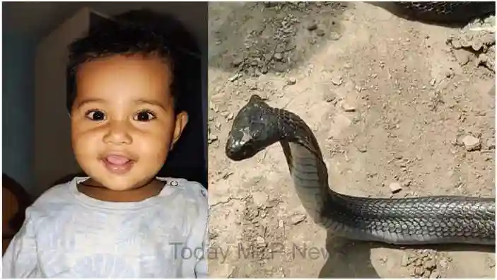 A 10 month old innocent child died due to snake bite in Madihan