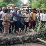 Chilh Mirzapur A thick branch of a tree fell on a bike rider passing by and three were injured