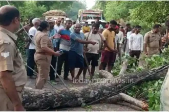 Chilh Mirzapur A thick branch of a tree fell on a bike rider passing by and three were injured