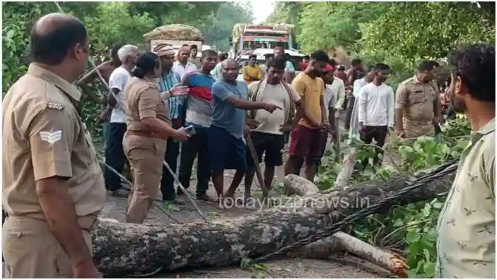 Chilh Mirzapur A thick branch of a tree fell on a bike rider passing by and three were injured