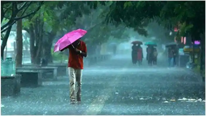 Heavy rain alert in 40 districts of UP