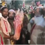 In memory of the martyrdom of Imam Hussain, the procession of Duldul horse was taken out from the Imambara