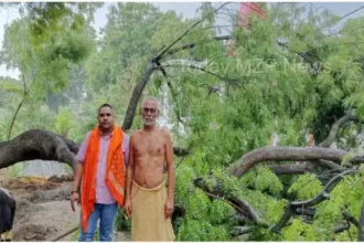 Kachhwa Neem tree split into two parts due to lightning cow injured