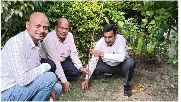 Kashi Vidyapeeth Tree plantation done in Education Department