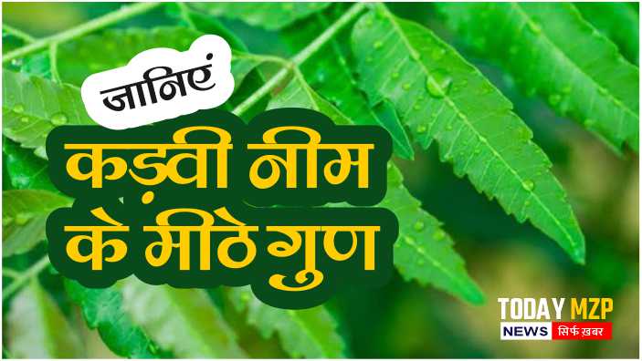 Know the sweet properties of bitter neem