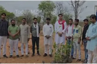 Mirzapur 51 trees were planted on Vindhya mountain on the birthday of Akhilesh Yadav