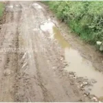 Mirzapur Ahraura Faeces spread on the road causing trouble to pedestrians