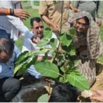 Mirzapur BJP Sadar MLA planted trees in the assembly constituency