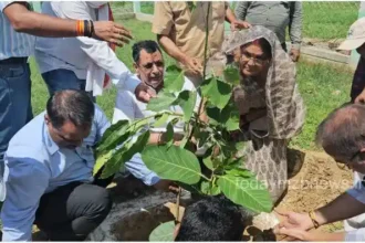 Mirzapur BJP Sadar MLA planted trees in the assembly constituency