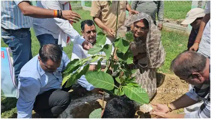 Mirzapur BJP Sadar MLA planted trees in the assembly constituency