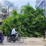 Mirzapur Girdhar Square A huge tree was uprooted with its roots