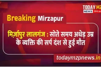 Mirzapur Lalganj A middle aged man died of snake bite while sleeping