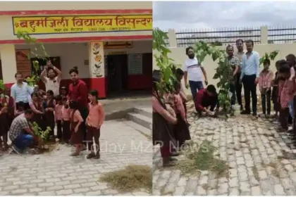 Mirzapur News Members of Shri Sai Parivar Seva Sangathan planted trees