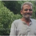 Mirzapur Vindhyachal Tree fell on house due to strong wind and rain