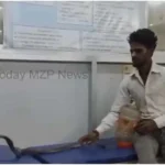 Mirzapur youth reached hospital after locking snake in a box