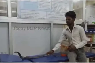 Mirzapur youth reached hospital after locking snake in a box