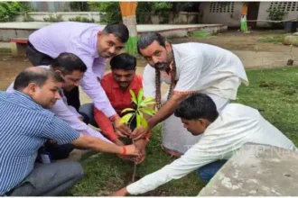 Sonbhadra Discussion on environment by planting trees on Bank Day