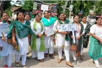 Sonbhadra News Plant saplings, save trees campaign rally taken out