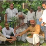 Sonbhadra Plantation done for environmental protection