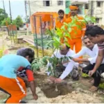 Sonbhadra Plantation was done at the MRF Center of the Municipality