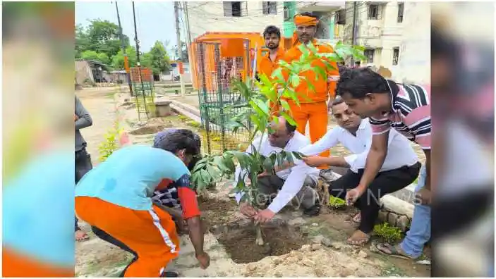 Sonbhadra Plantation was done at the MRF Center of the Municipality