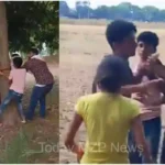 Sonbhadra The boy was beaten up by goons for cutting mango and sheesham trees