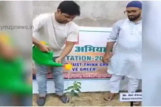 Tree plantation campaign conducted by Loloi Rugs in Bhadohi area