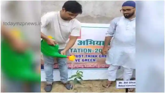 Tree plantation campaign conducted by Loloi Rugs in Bhadohi area