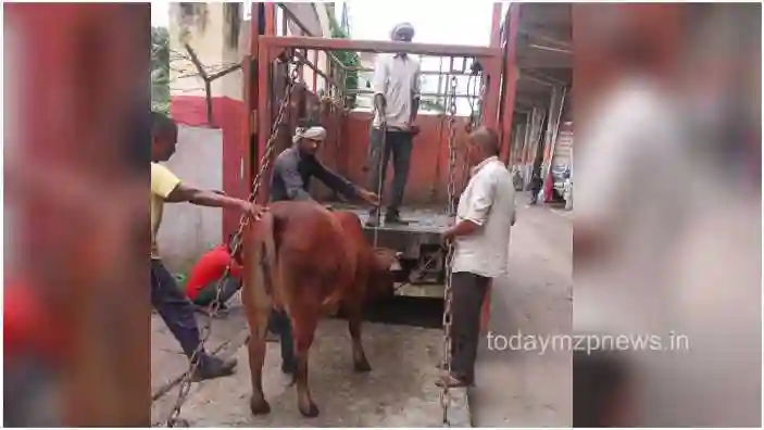 A fine of 21 thousand three hundred was imposed on the owners of abandoned animals