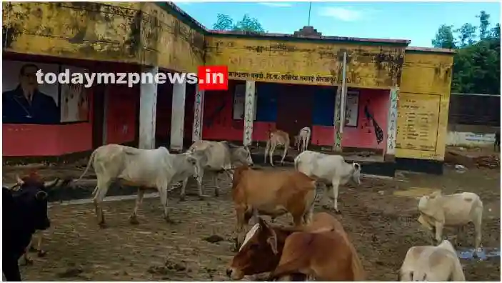 Drummondganj Mirzapur villagers held cows hostage in community hall