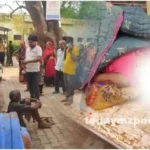 Halia Girl dies due to snake bite