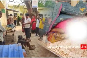 Halia Girl dies due to snake bite