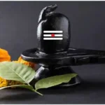 How many Belpatra should be offered on Shivling while performing Rudrabhishek in Sawan