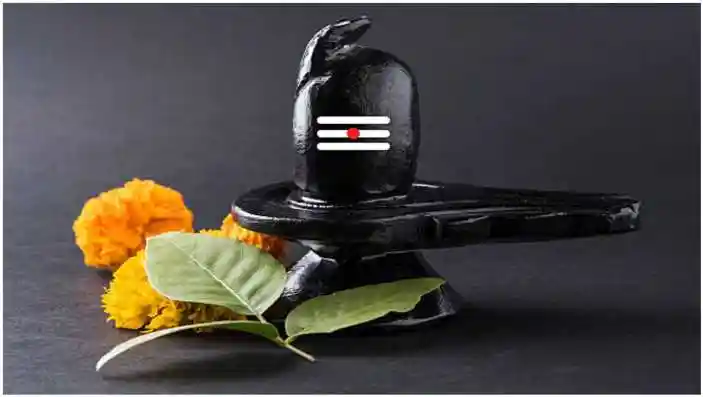 How many Belpatra should be offered on Shivling while performing Rudrabhishek in Sawan