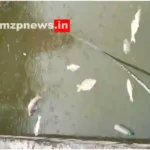 Kachhawan Dead fish landed in the pond under suspicious circumstances