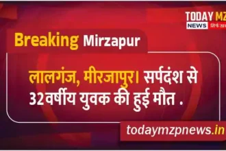 Lalganj Mirzapur A 32-year-old youth died due to snake bite