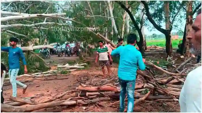 Madihan Rajgarh Traffic disrupted due to falling of U K lyptus tree on state highway