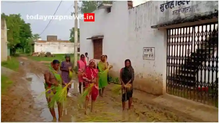 Mirzapur Chunar Women planting paddy on a muddy road