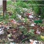 Mirzapur Pile of garbage near Tilthi Government Junior High School