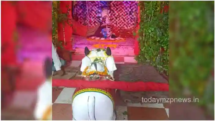 Sonbhadra The decoration of Ardhanarishwar Mahadev is spreading attraction