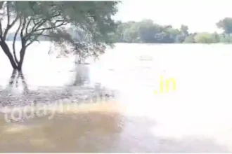 Chandauli The flood in Karmanasha put a break on the construction of National Highway