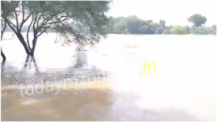 Chandauli The flood in Karmanasha put a break on the construction of National Highway