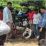 Halia Villagers caught the crocodile and held it hostage