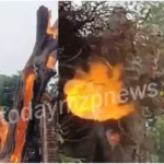 Hundreds of years old tamarind tree caught fire in Mirzapur