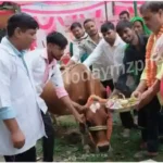 It is mandatory to put tags in the ears of animals- Veterinary Officer