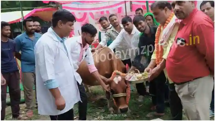 It is mandatory to put tags in the ears of animals- Veterinary Officer