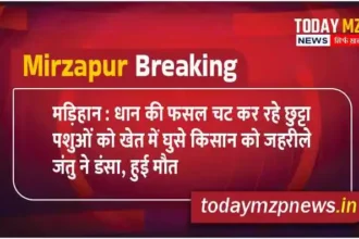 Madihaan Farmer bitten by poisonous animal