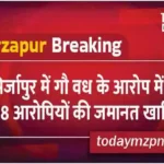 Bail of 8 accused in cow slaughter case rejected in Mirzapur